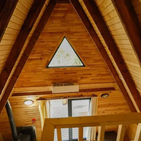 Pafuli Gundogdu (Marmara Island)