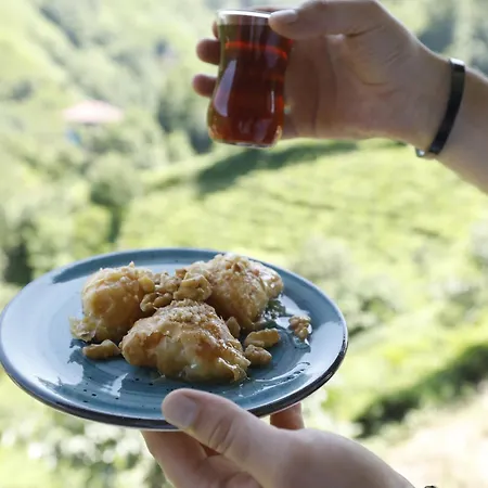 Pafuli Gundogdu (Marmara Island)